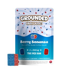 Grounded High Dose Bricks - Berry Bonanza 2000mg