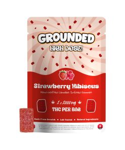 Grounded High Dose Bricks - Strawberry Hibiscus 1000mg