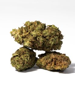 Bruce Banner (AA) 8 TS NORTH INDIA 2