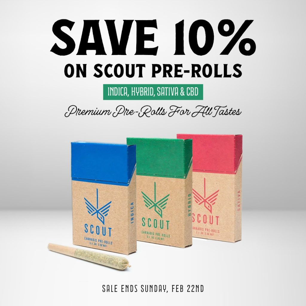 scout preroll email