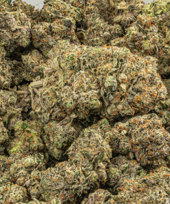 DOUBLE PURPLE AFGOOEY 5