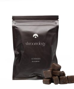 Shroomology Mid-Dose Gummies - Blackberry