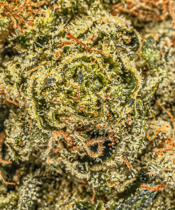 Starfighter (AA+) 10 STARFIGHTER 4