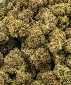 Starfighter (AA+) 11 STARFIGHTER 5