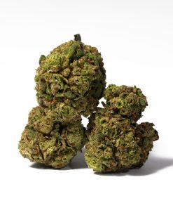 Strawberry cannabis sativa promo 2