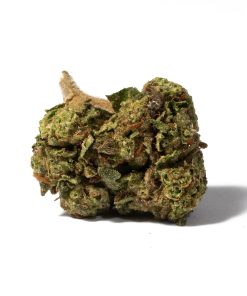 Strawberry cannabis sativa promo 3