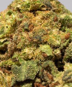 Strawberry cannabis sativa promo 4