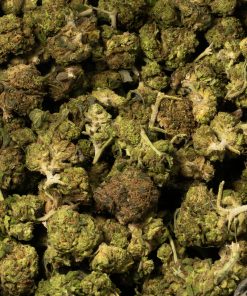 Strawberry cannabis sativa promo 5