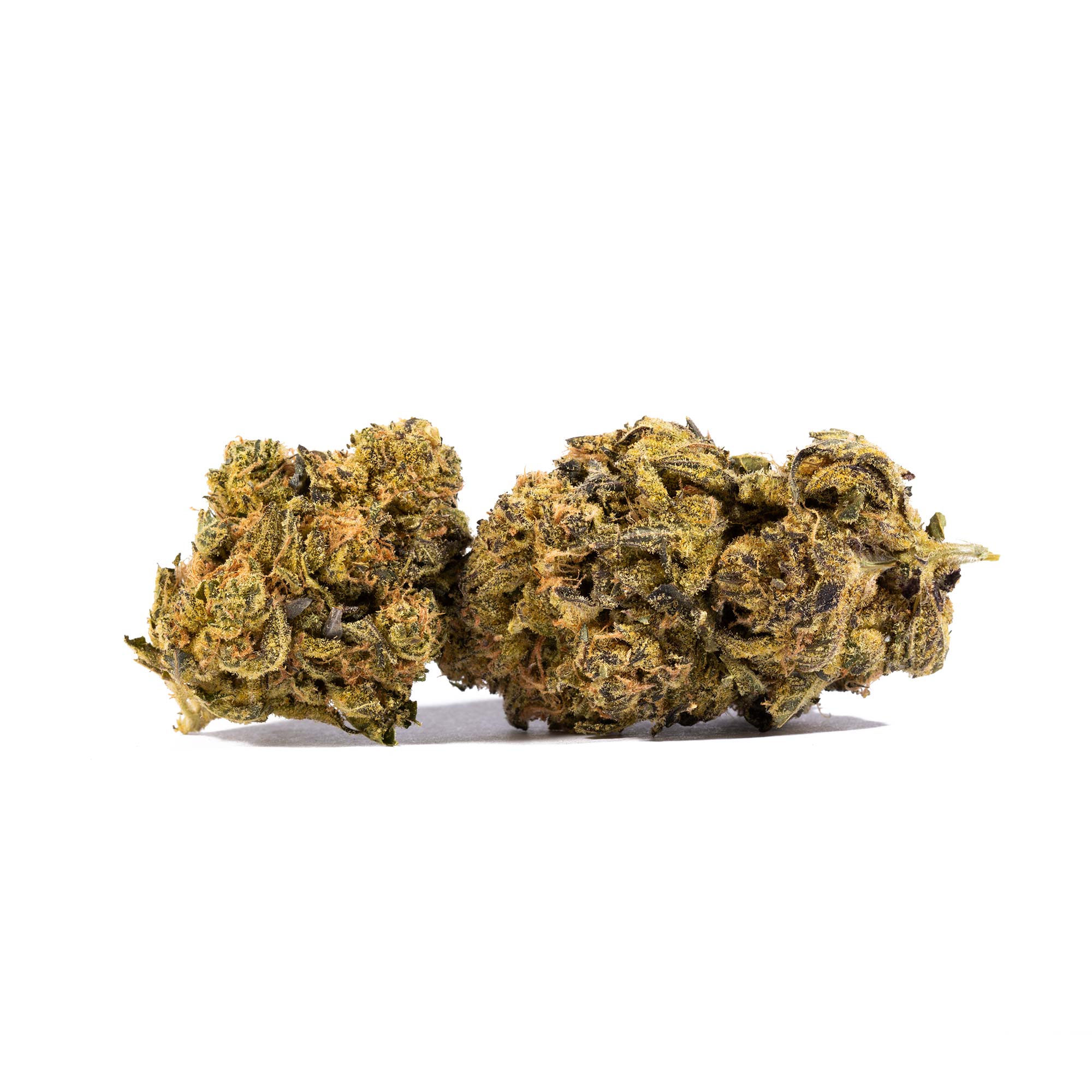 Cheese Wiz (AA+) 3 Cheese Wiz (AA+)