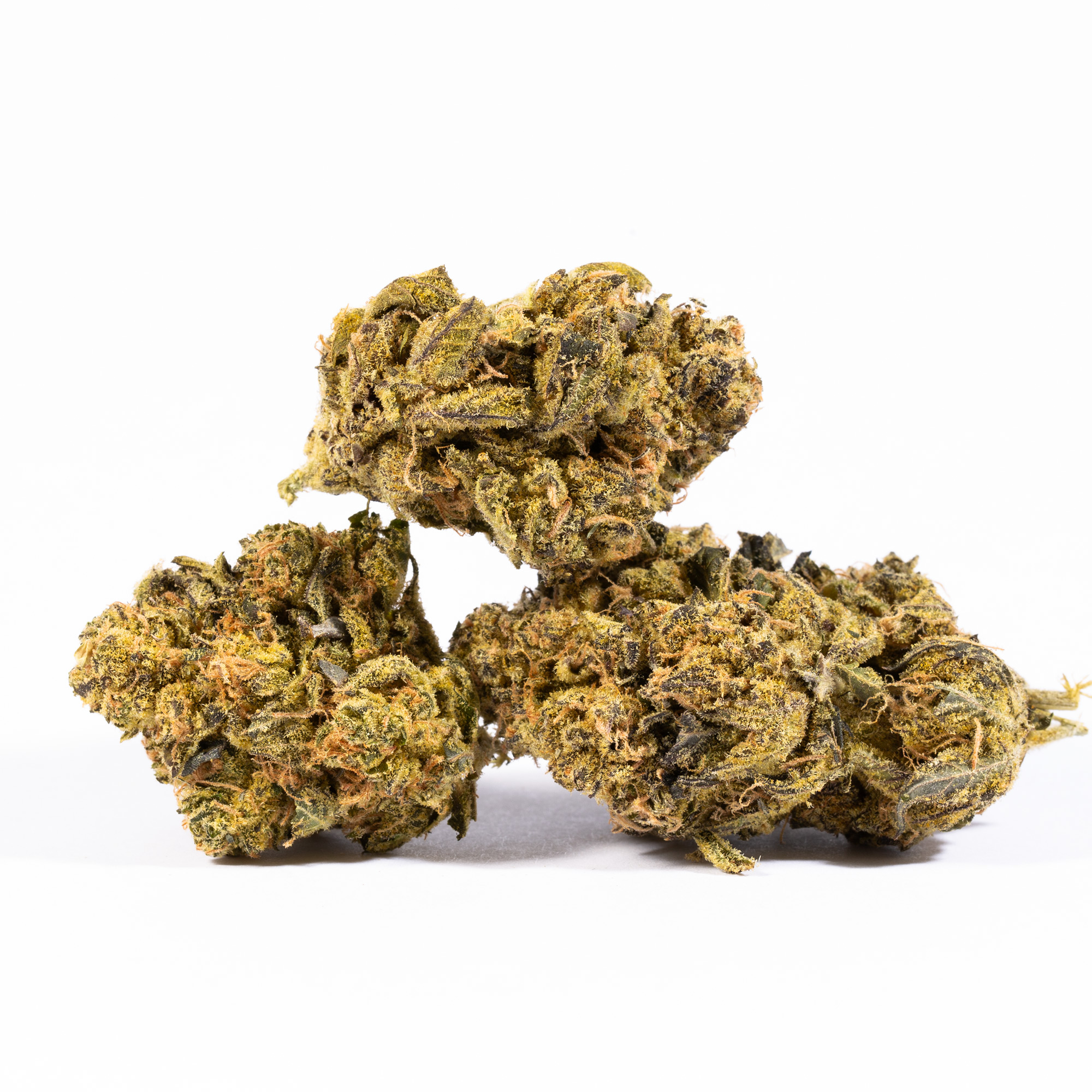 Cheese Wiz (AA+) 4 Cheese Wiz (AA+) - Image 2