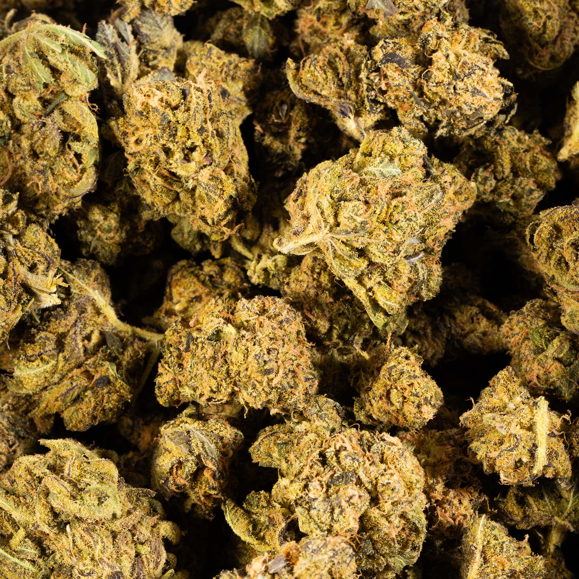 Cheese Wiz (AA+) 7 Cheese Wiz (AA+) - Image 5