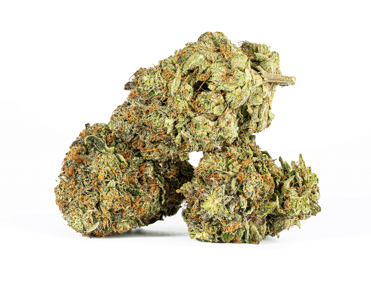 Georgia Pine (AA+) 5 Georgia Pine (AA+) - Image 3