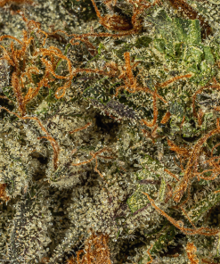 Georgia Pine (AA+) 11 georgia pine 4 min