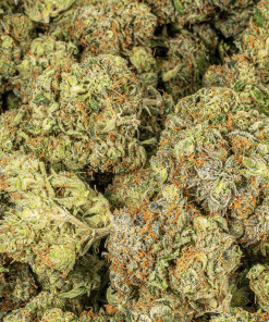 Georgia Pine (AA+) 10 georgia pine 5 min