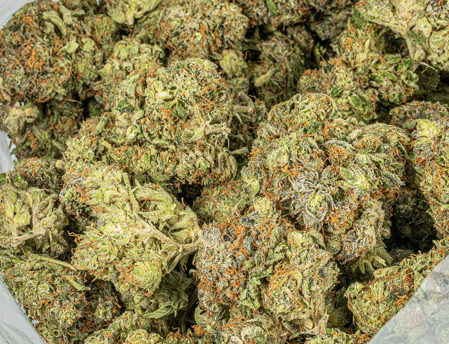 Georgia Pine (AA+) 6 Georgia Pine (AA+) - Image 4