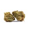 jack herer cannabis sativa 1