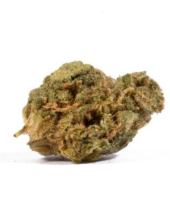 Jack Herer Smalls (AA) 9 jack herer cannabis sativa 3