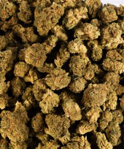 Jack Herer Smalls (AA) 11 jack herer cannabis sativa 5