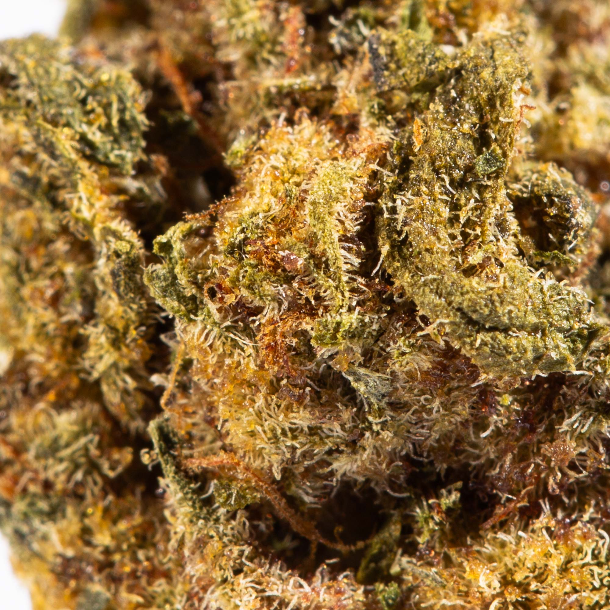 Jet Fuel Smalls (AA) 6 Jet Fuel Smalls (AA) - Image 4