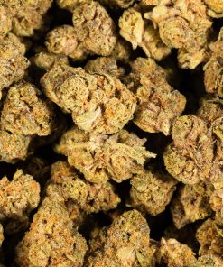 Jet Fuel Smalls (AA) 11 jet fuel cannabis sativa 5