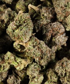 la confidential cannabis indica 5