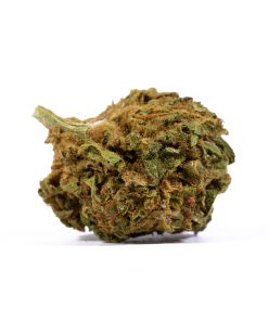 Lagoon (A) 11 lagoon cannabis indicaa 3