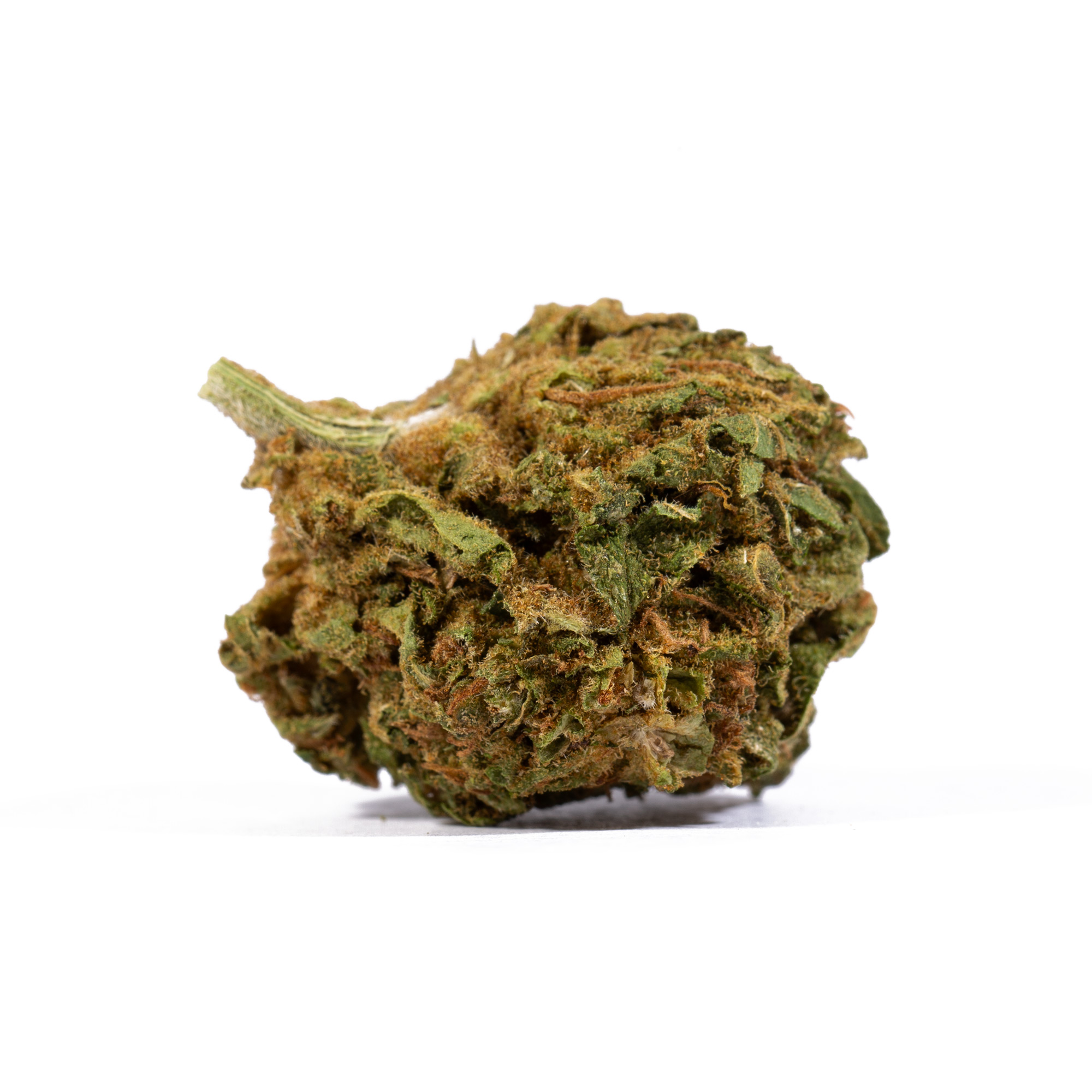 Lagoon (A) 7 Lagoon (A) - Image 5