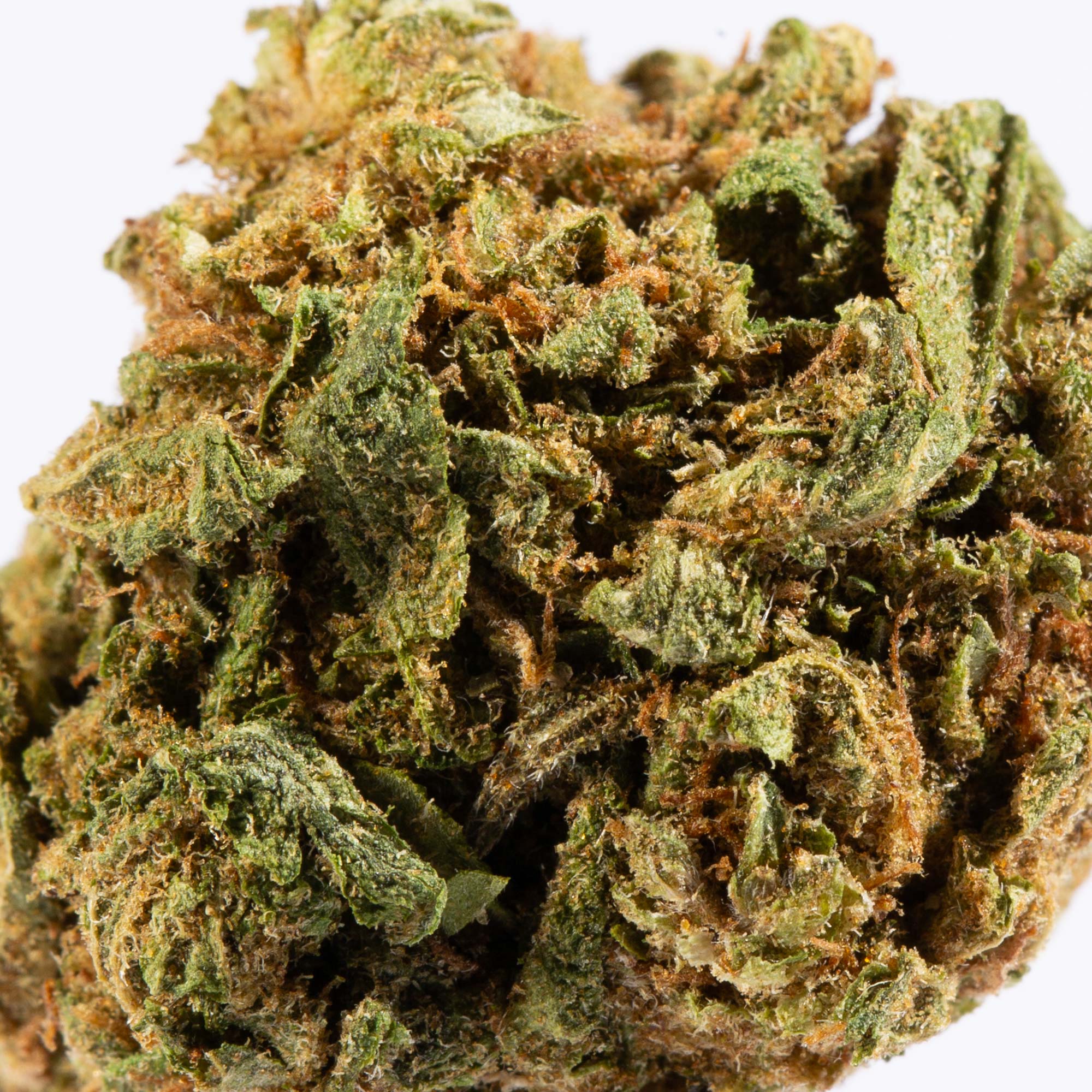 Lagoon (A) 5 Lagoon (A) - Image 3