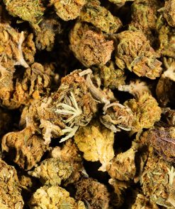 Lagoon (A) 10 lagoon cannabis indicaa 5