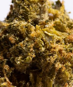 larry og cannabis hybrid 4