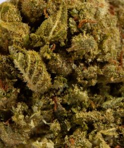 mango tango cannabis indica 1 4