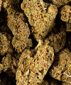 orange mints cannabis hybrid 5