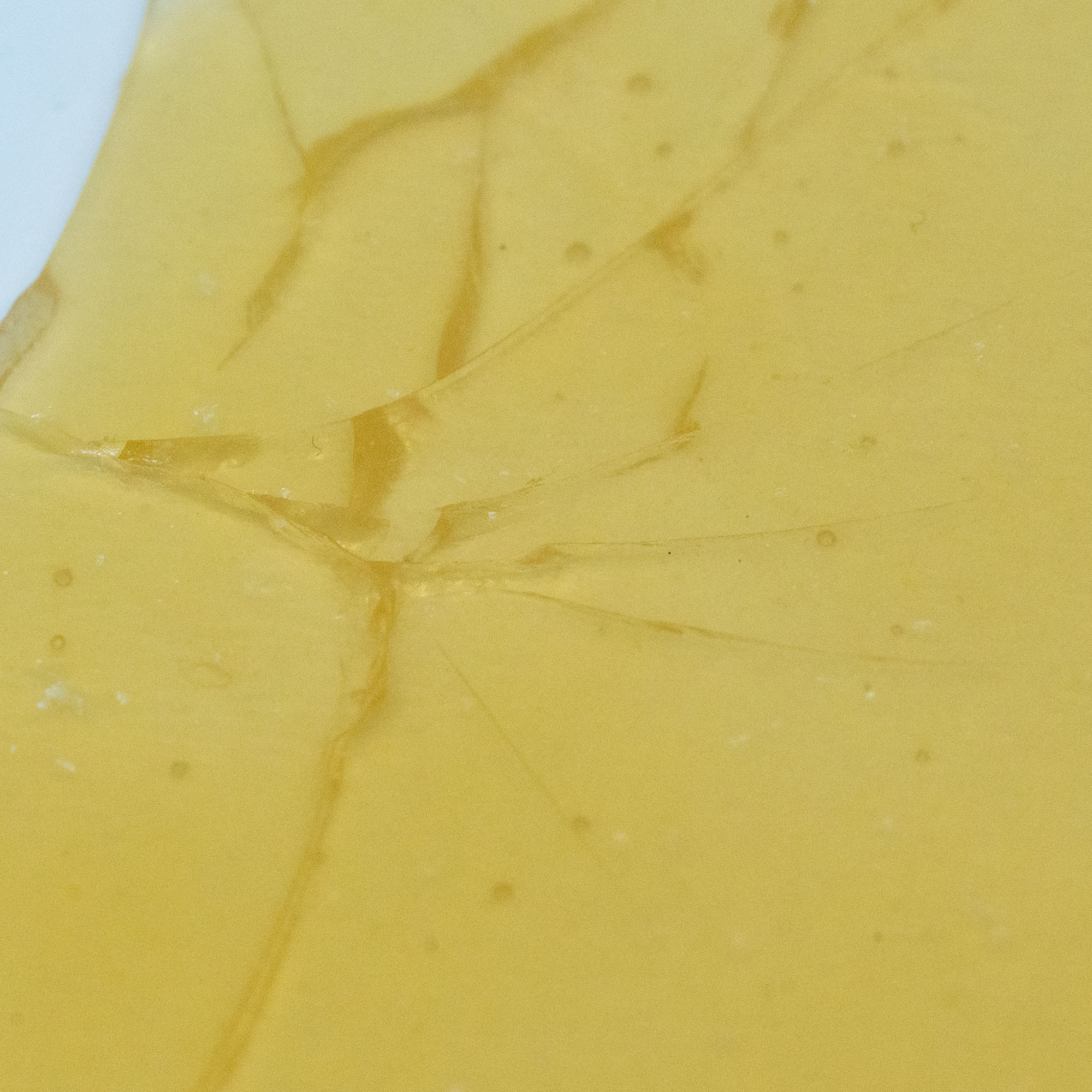 House Shatter - Apple Fritter (Hybrid) 4 House Shatter - Apple Fritter (Hybrid) - Image 2