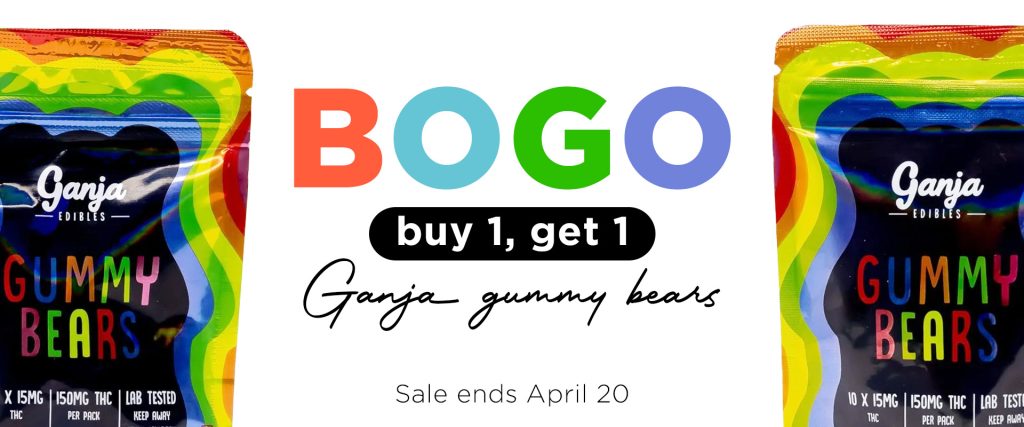 BOGO gummies desktop