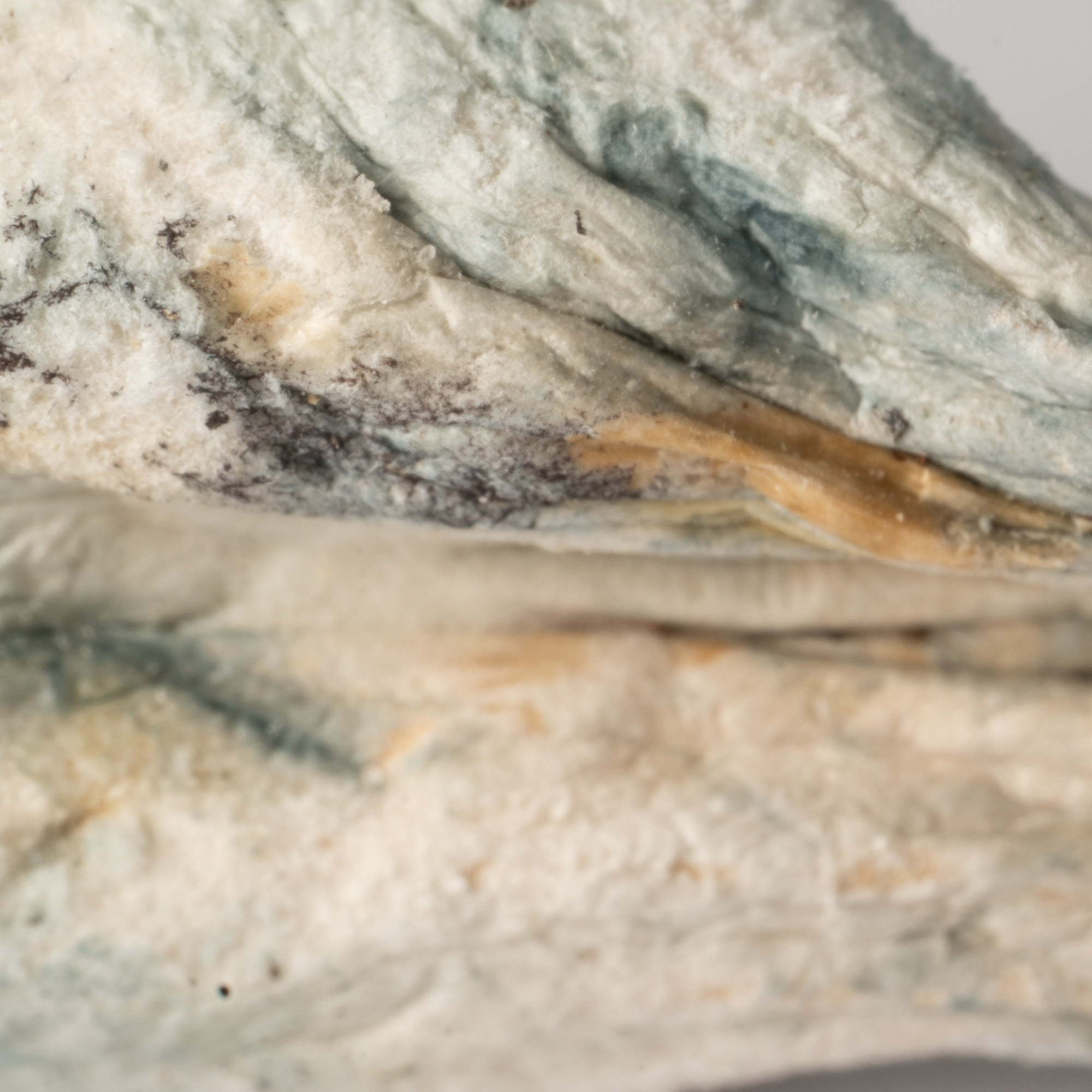 Full Moon Party Mushrooms 5 Full Moon Party Mushrooms - Image 4