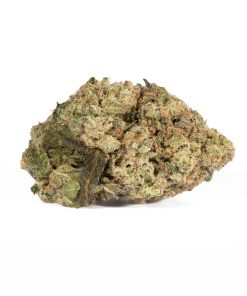 Jack Herer