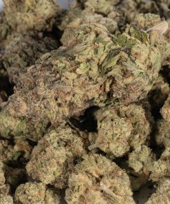 Jack Herer3