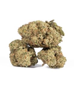 Jack Herer4