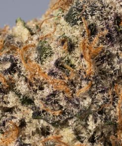 PURPLE CHAMPAGNE 4