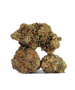 Shark Breath