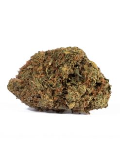 Shark Breath4