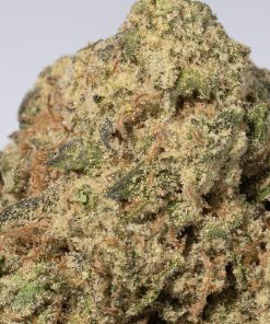 Super Lemon Haze2