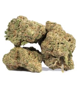 Super Lemon Haze4