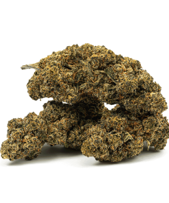 blackout og cannabis indica 2