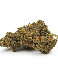 blackout og cannabis indica 3