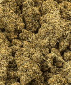 blackout og cannabis indica 5