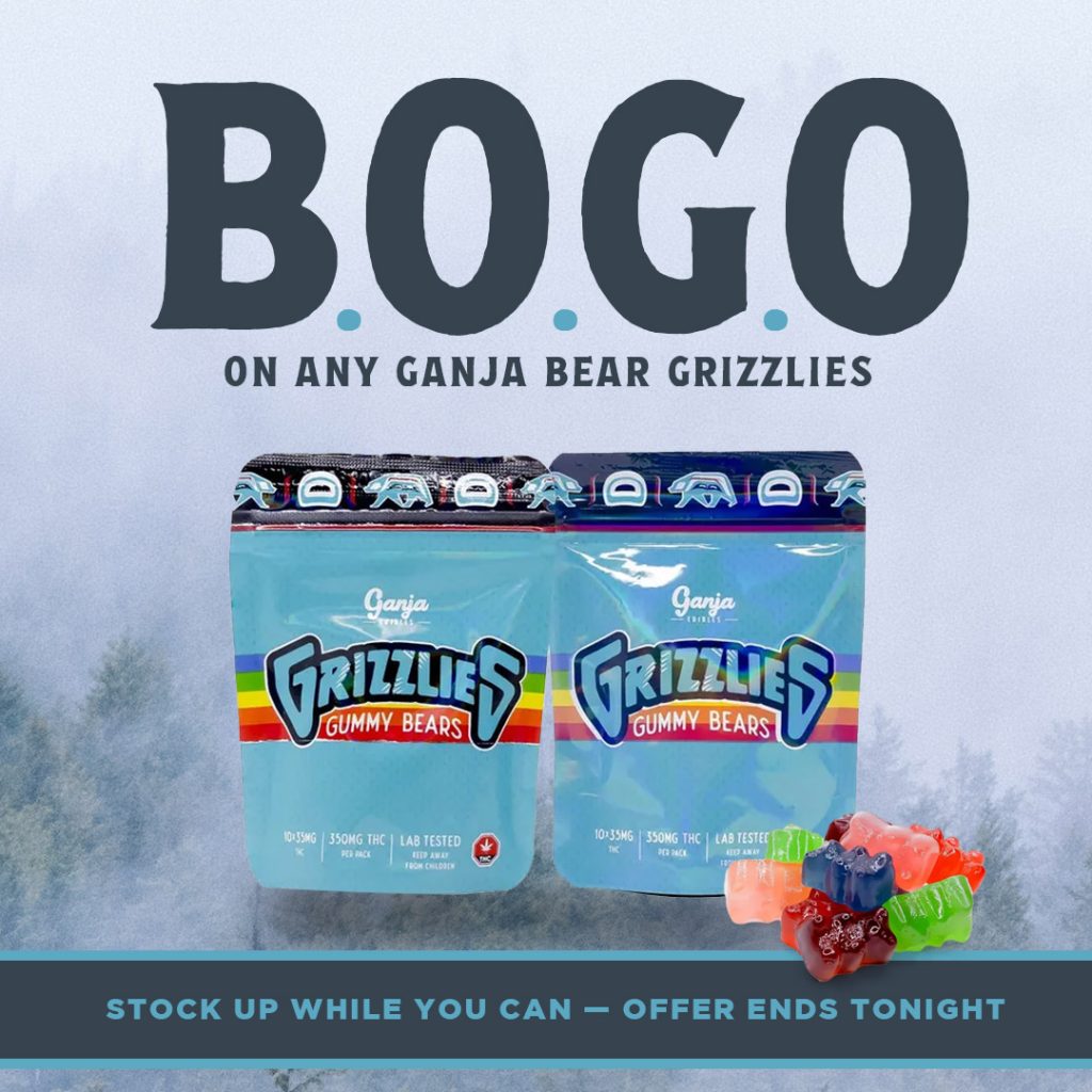 bogo grizzlies mobile