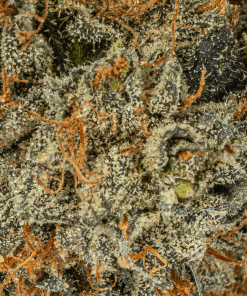 el jefe indica 3 min