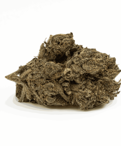 gasolina cannabis indica 3