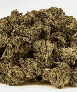 gasolina cannabis indica 5